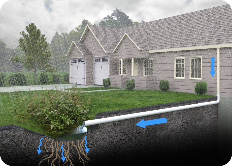 Illustration of rainwater flowing from a house gutter into a drainage pipe, with runoff watering a nearby plant